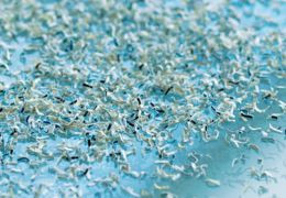 Protege tus datos: destruye documentos con DAHLE , cumple con RGPD